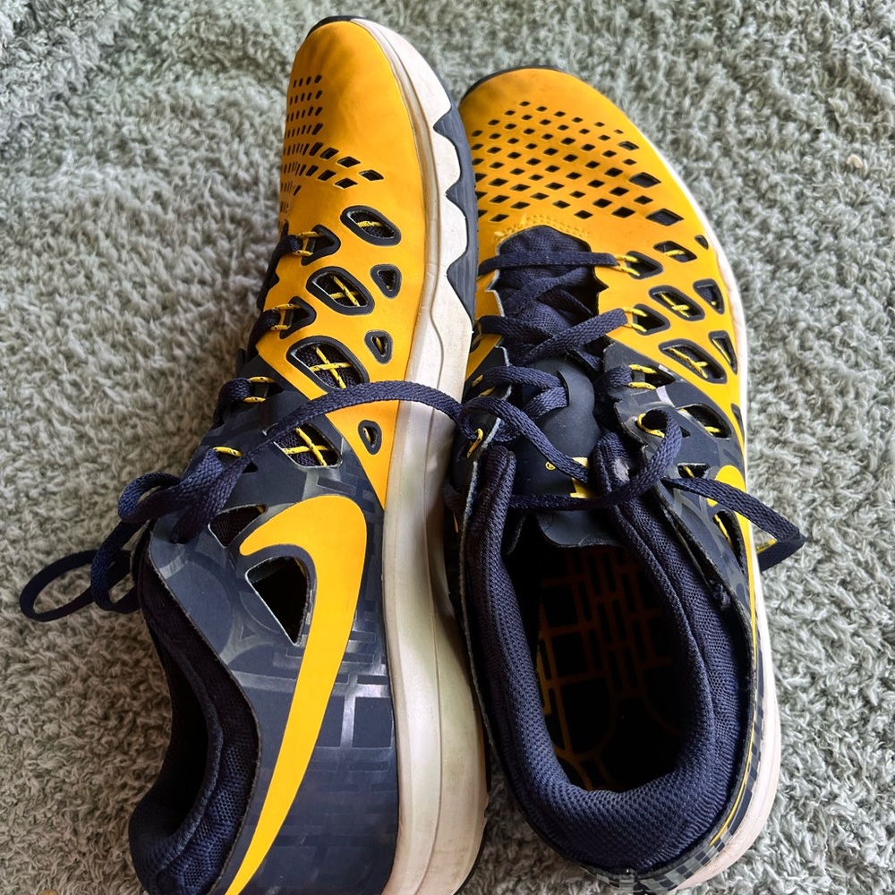 Nike Michigan Athletic Shoes for Performance